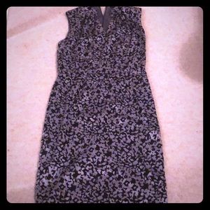 Brooks Brothers Dress